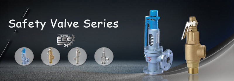 انواع شیر اطمینان 